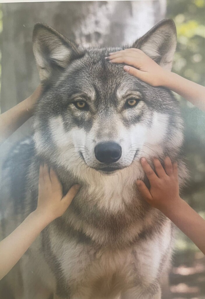 WhatsApp Image 2025-11-07 at 2.43.20 PM (1)