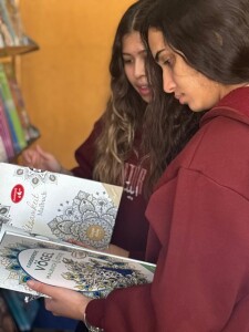 WhatsApp Image 2026-03-28 at 1.53.16 PM (2)