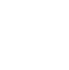 DSBA Logo